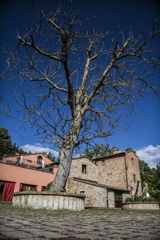 Agriturismo Casa Volaterra Volterra Zewnętrze zdjęcie